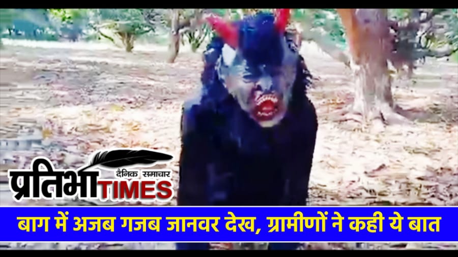 "लंगूर की वेशभूषा में किसान आम के बाग में"